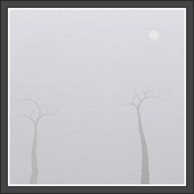 The Foggy Trees #132