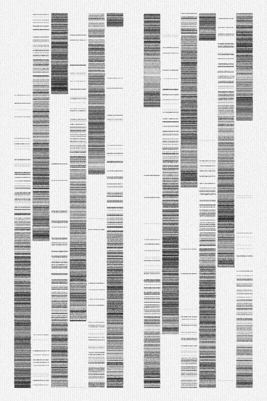 Sequence #25