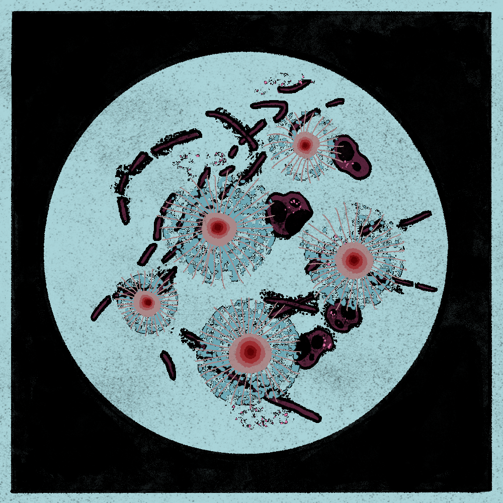 Microbes #70