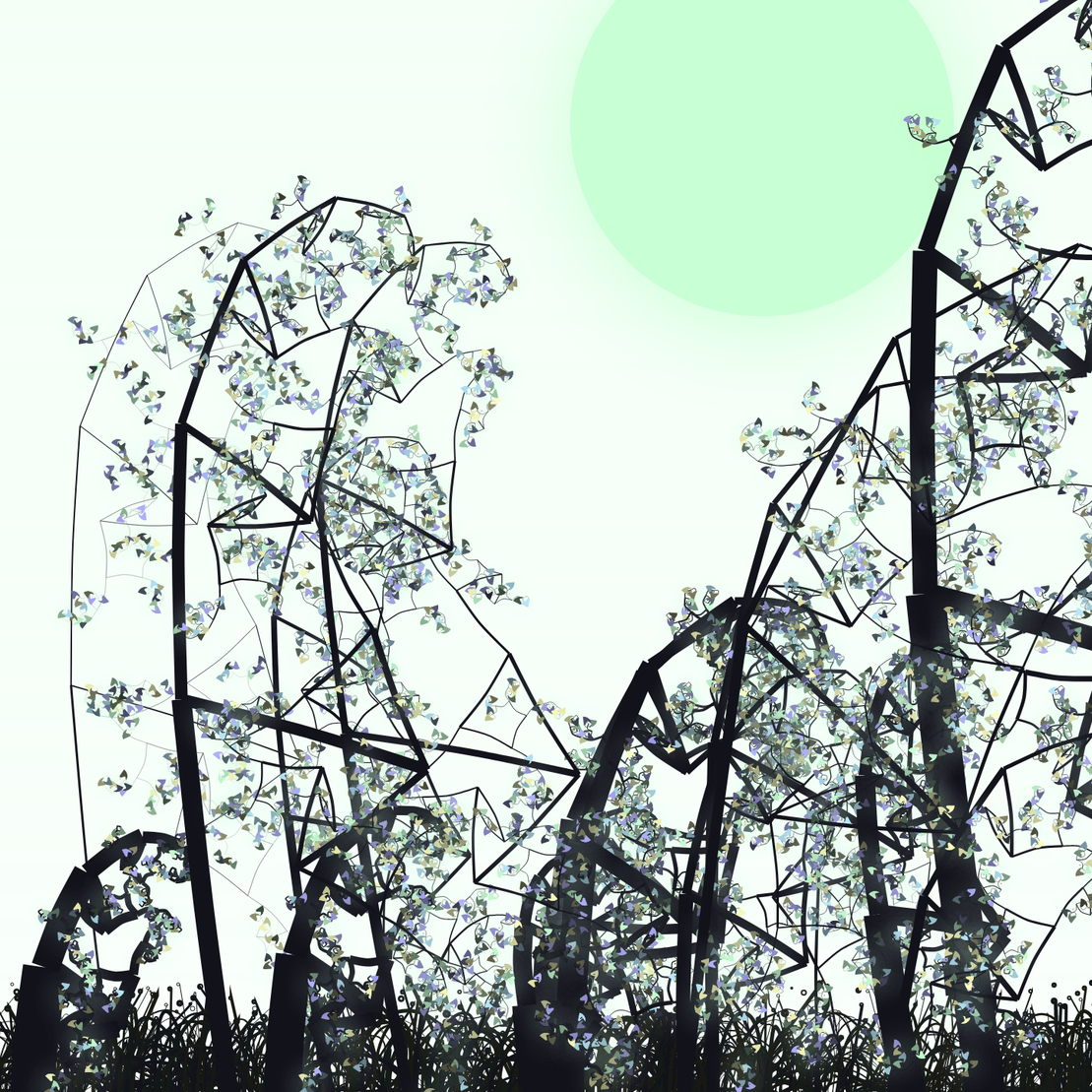 Wildwood Forest #211