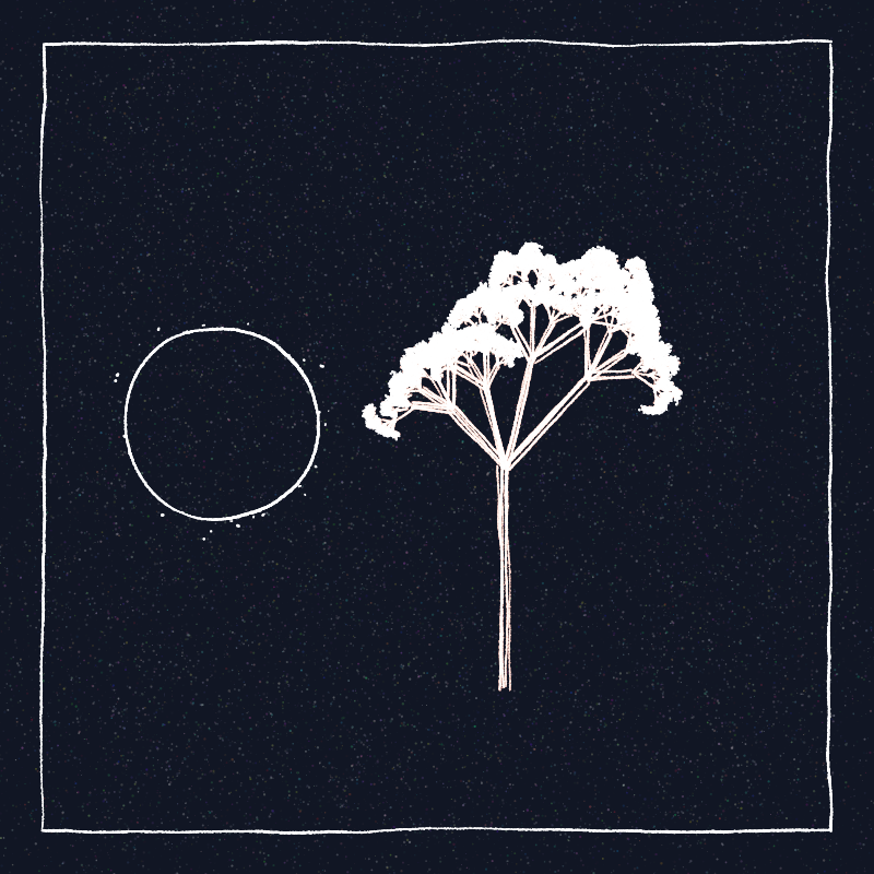 Hand-Drawn Tree #61