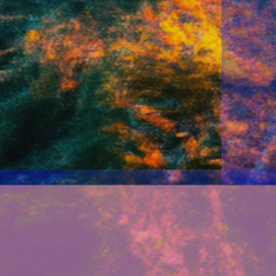 WHISPERS (in code) #473