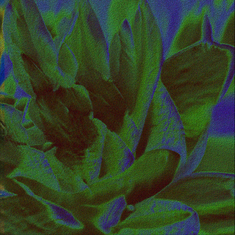 CLDCSMC #77