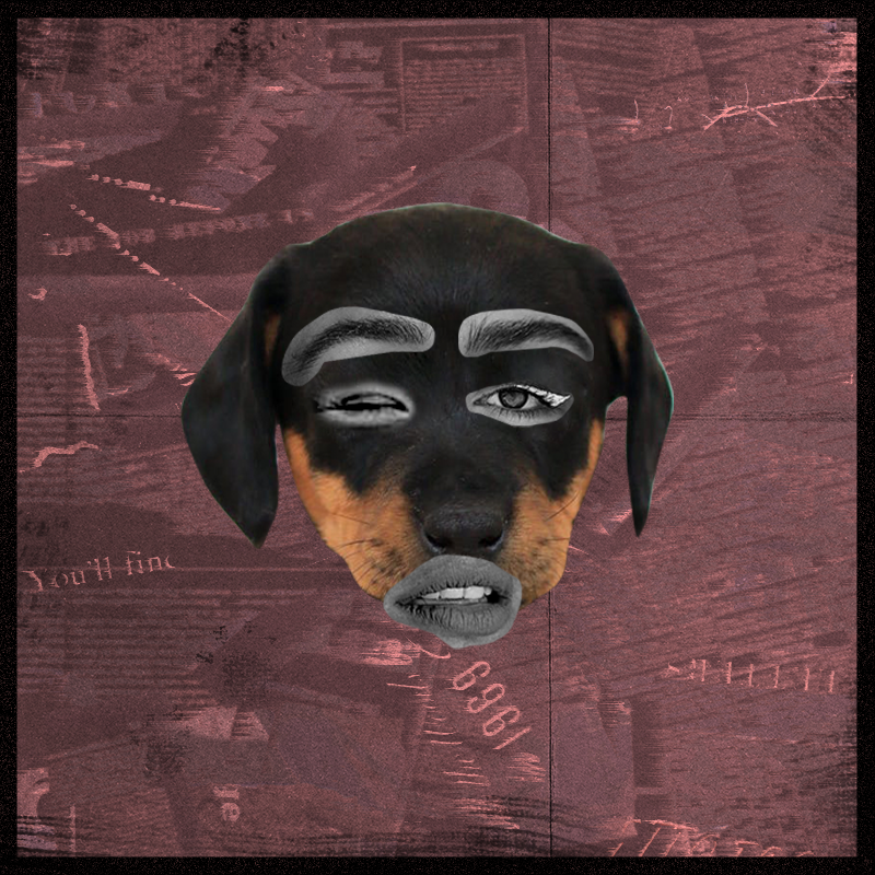 Doggenstein #3