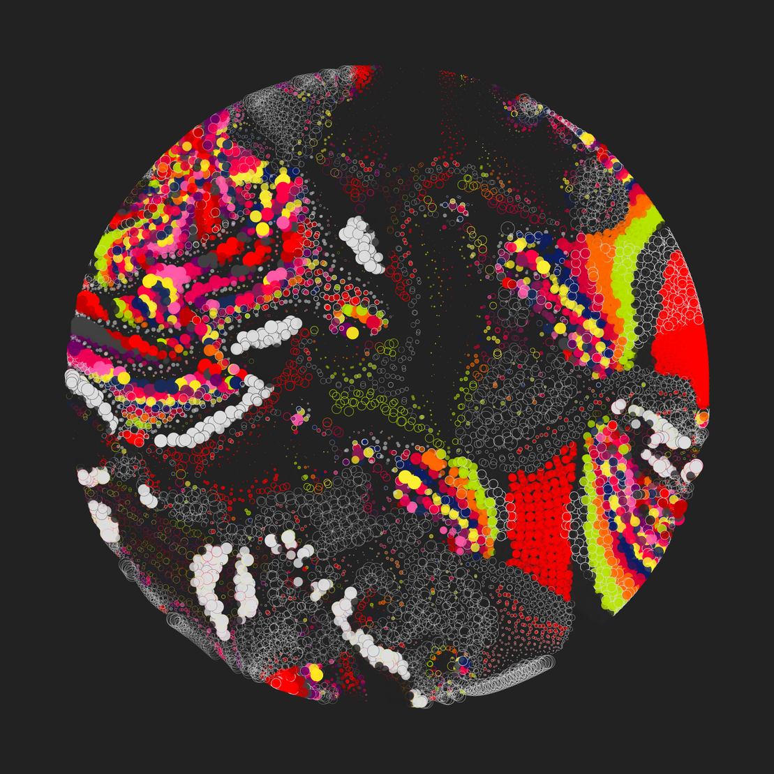 Still C #20319