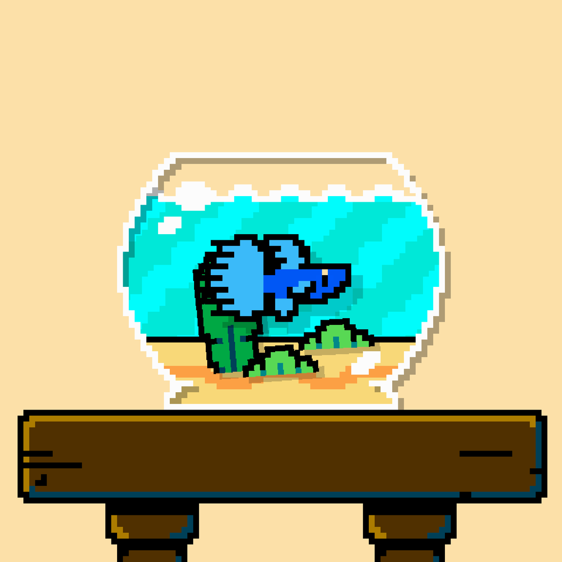 betta fish #400