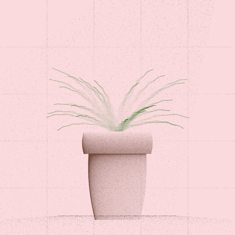 🌱 Potted & Printed #84