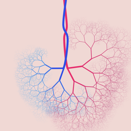 capillary trees #20