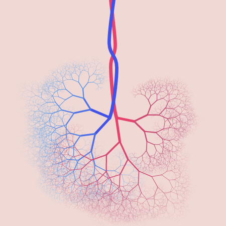 capillary trees #15