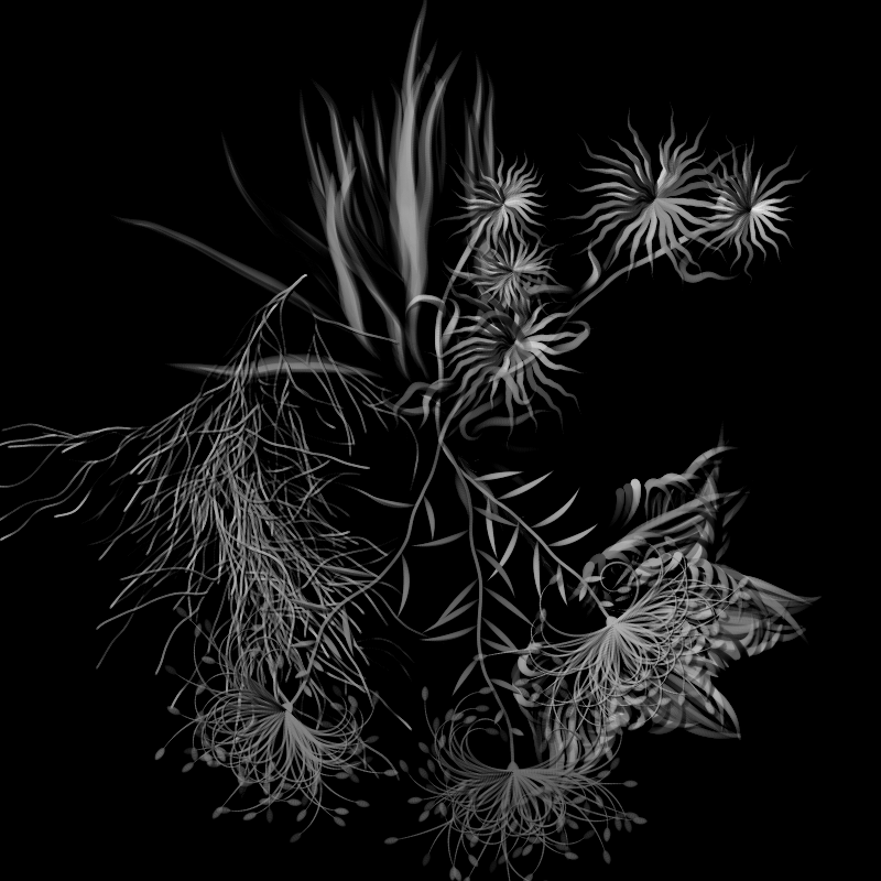 Botanical Ghosts #353