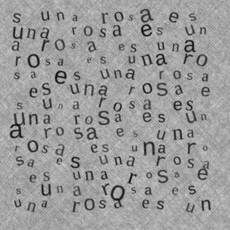 una rosa es #15