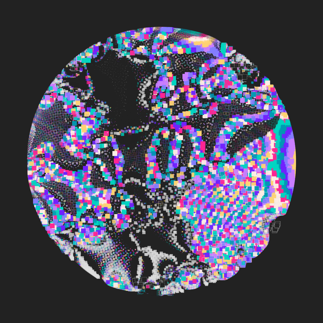 Still C #12382