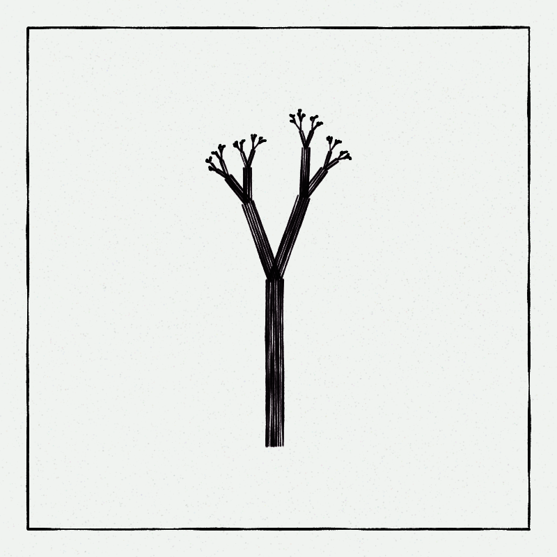 Hand-Drawn Tree #26