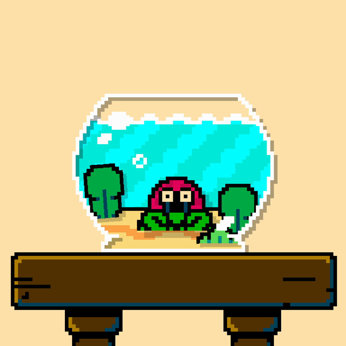hermit crab #173