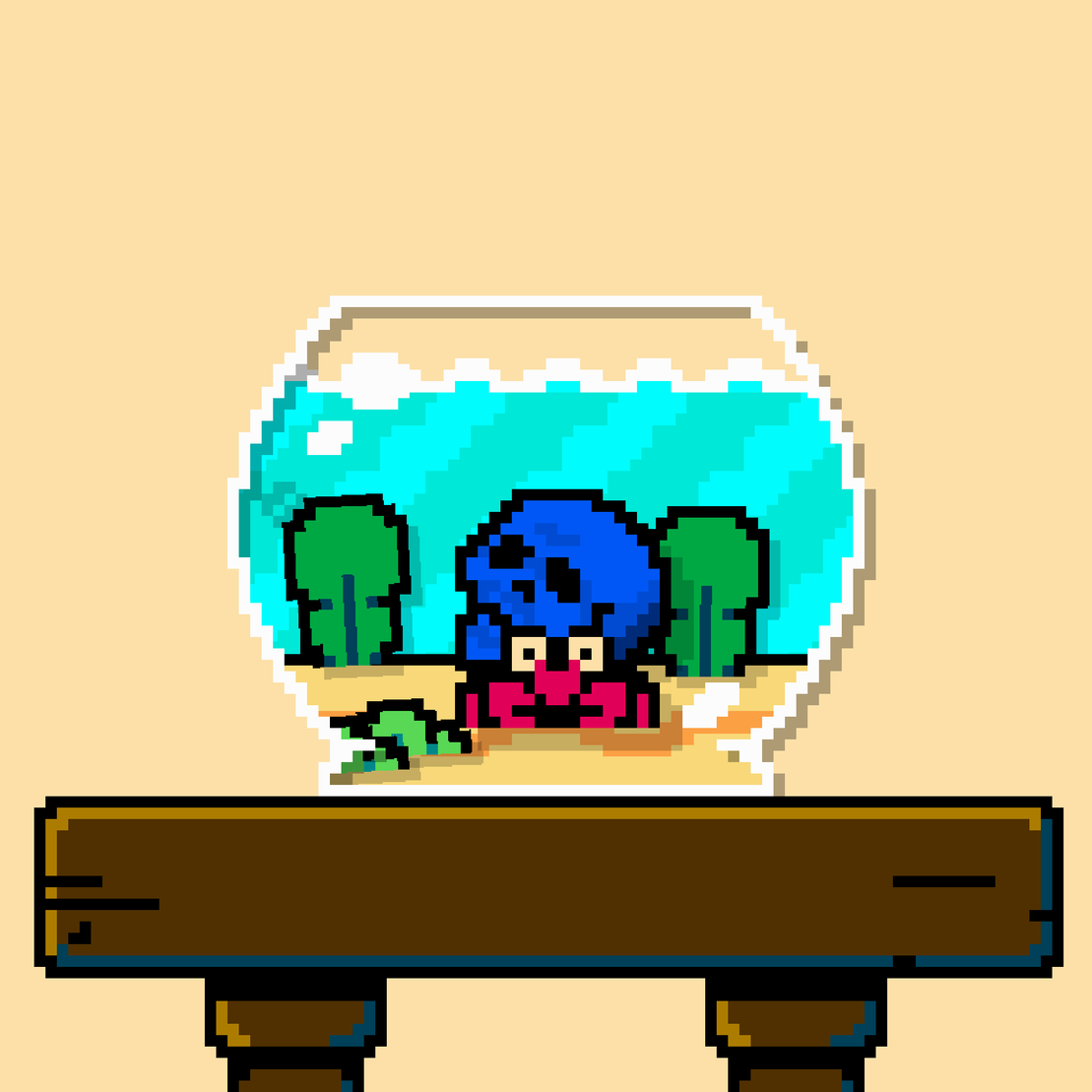 hermit crab #201