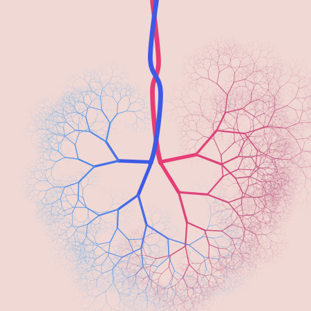 capillary trees #16