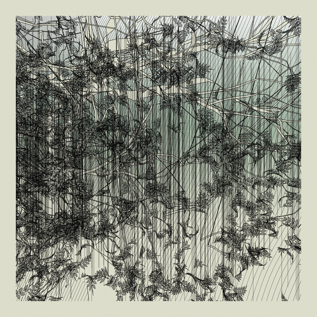 A Bugged Forest #826