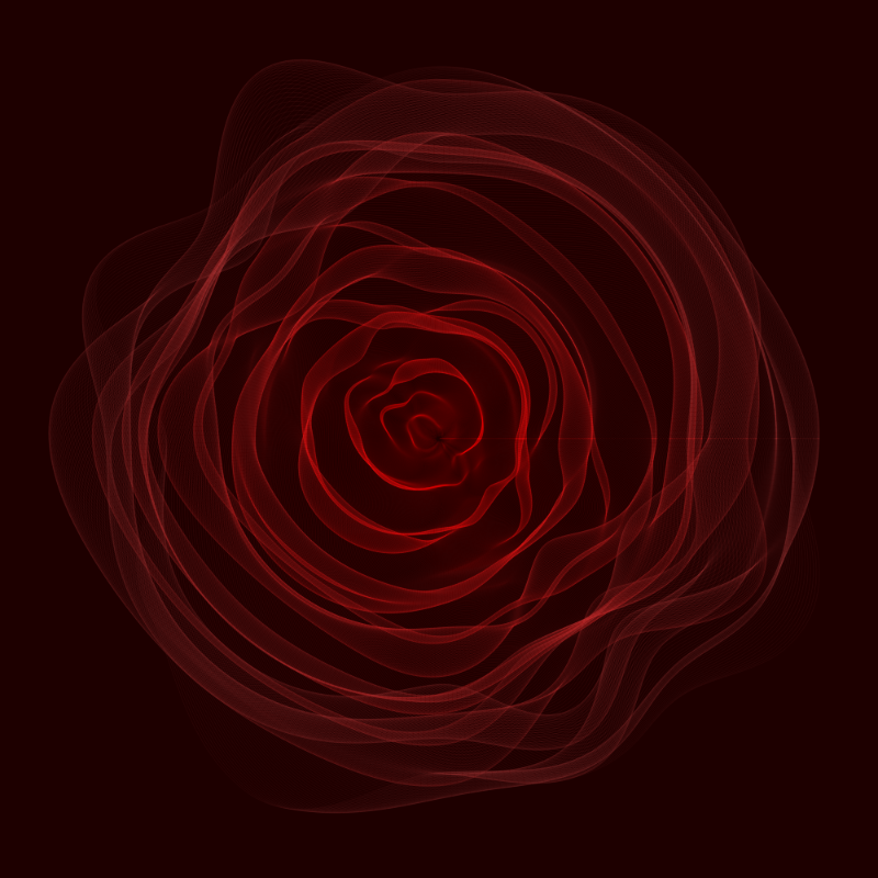 Roses #12