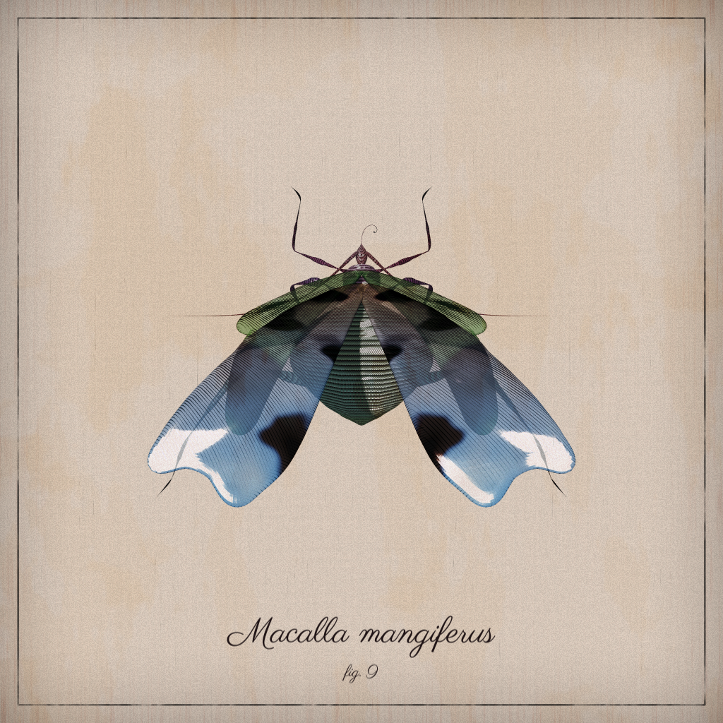 ProcGen Entomology #134