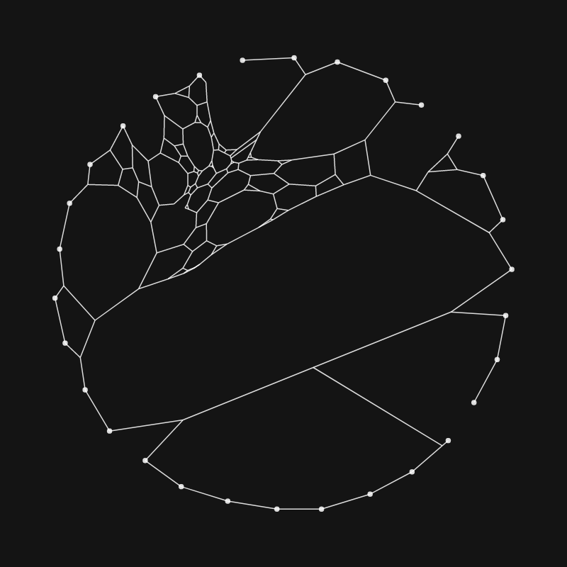 Elastic Web #216