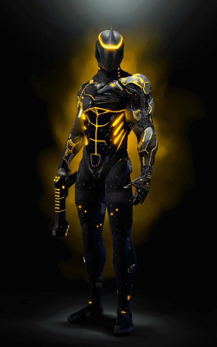 Warrior Robot