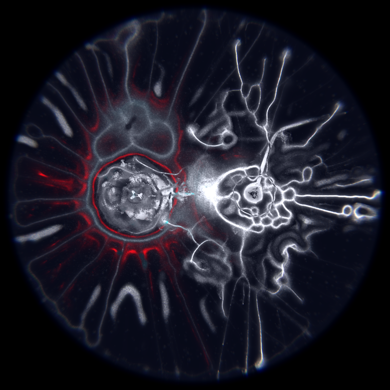 Ethereal Microcosm #87