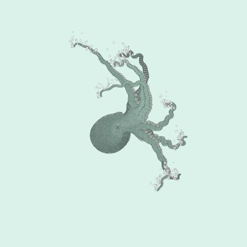 the generative octopuses #49