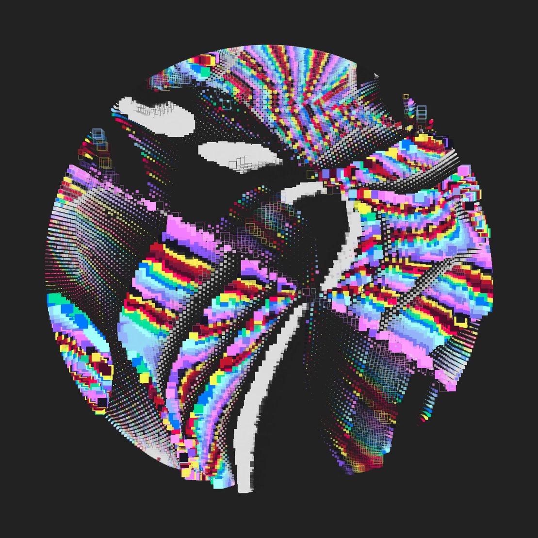 Still C #23477