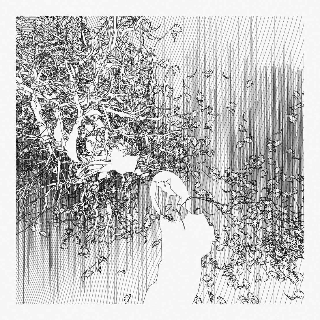 A Bugged Forest #649