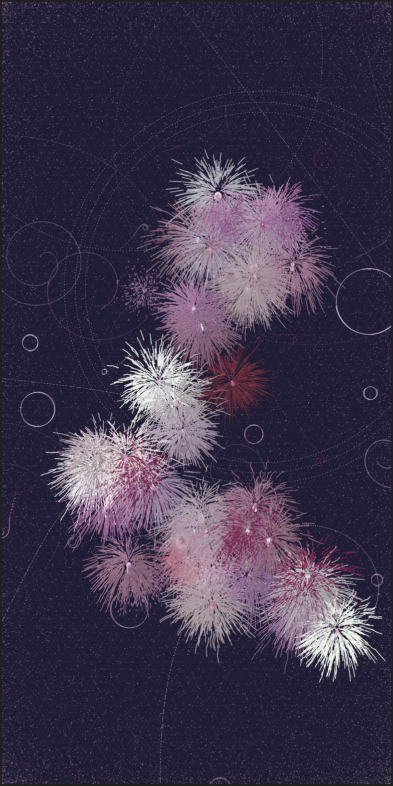 真夏の花火　Fireworks in Midsummer #19