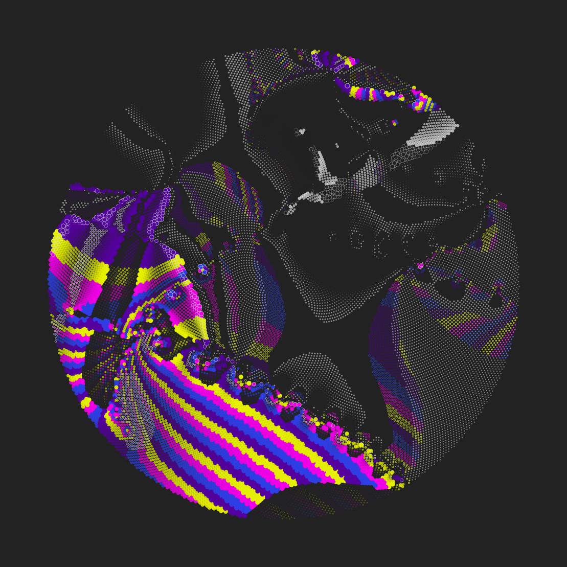 Still C #21894