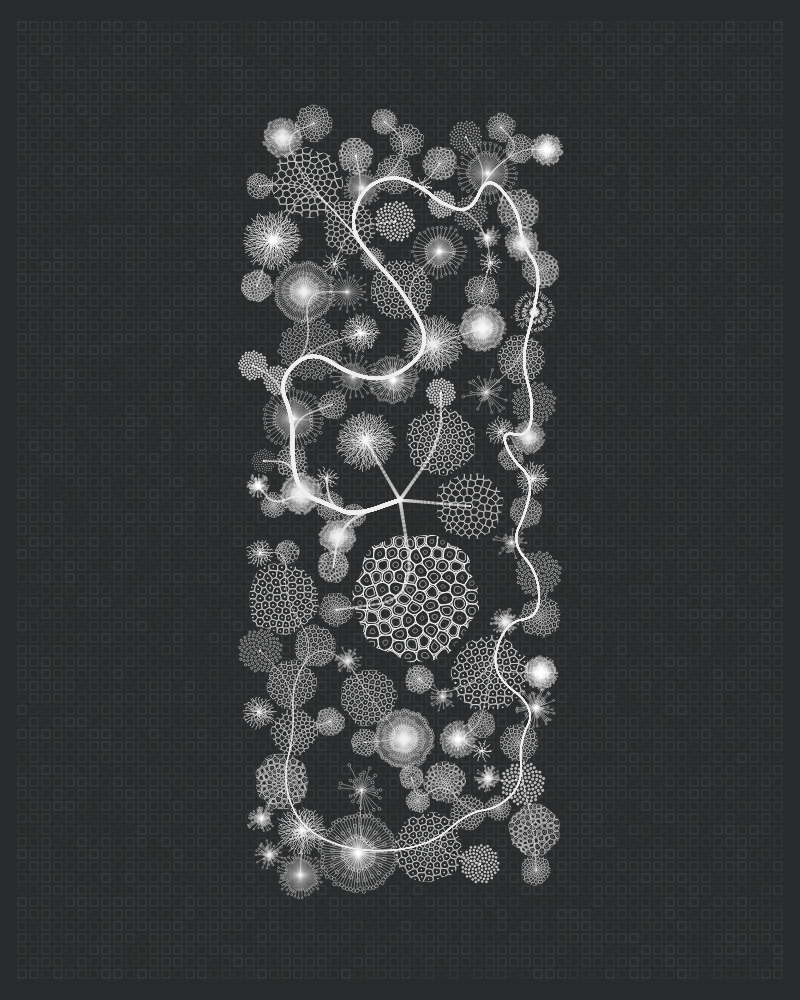 Florilegium #113
