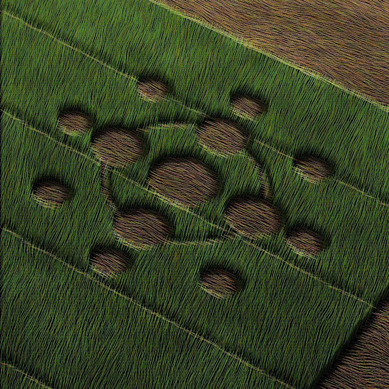 Crop Circles #36