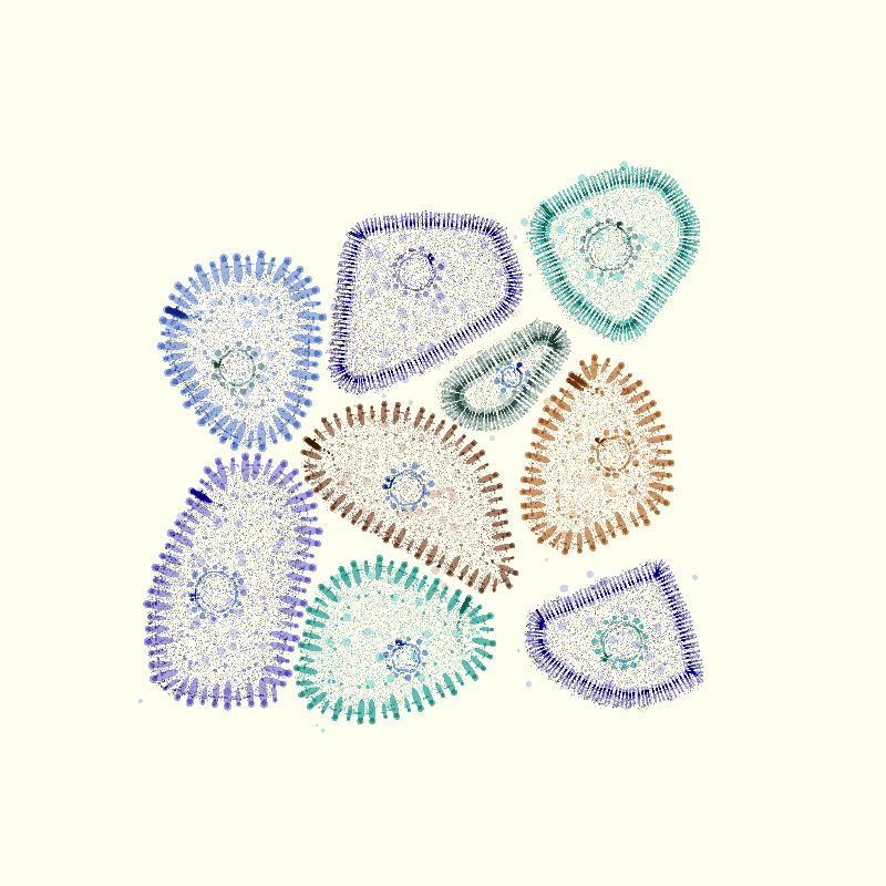 Organelles