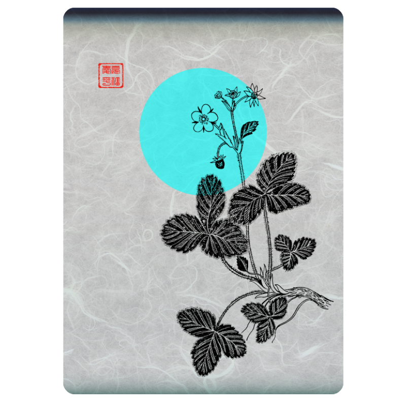 Zen flower card  #23