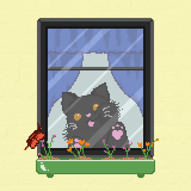 Window Catz #6