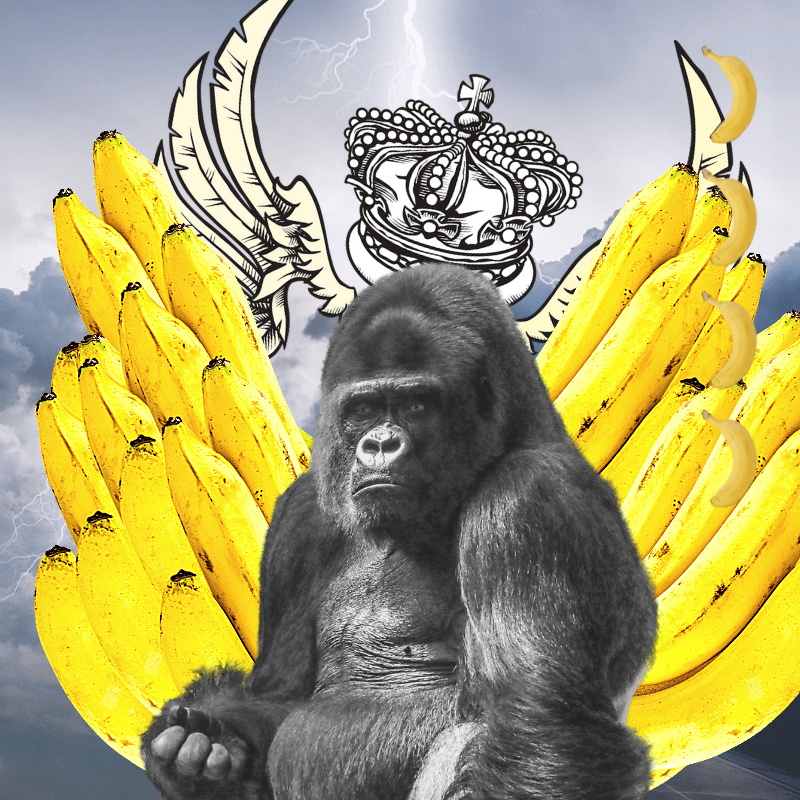 Banana gods #50