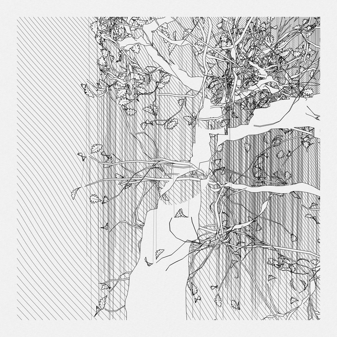 A Bugged Forest #605