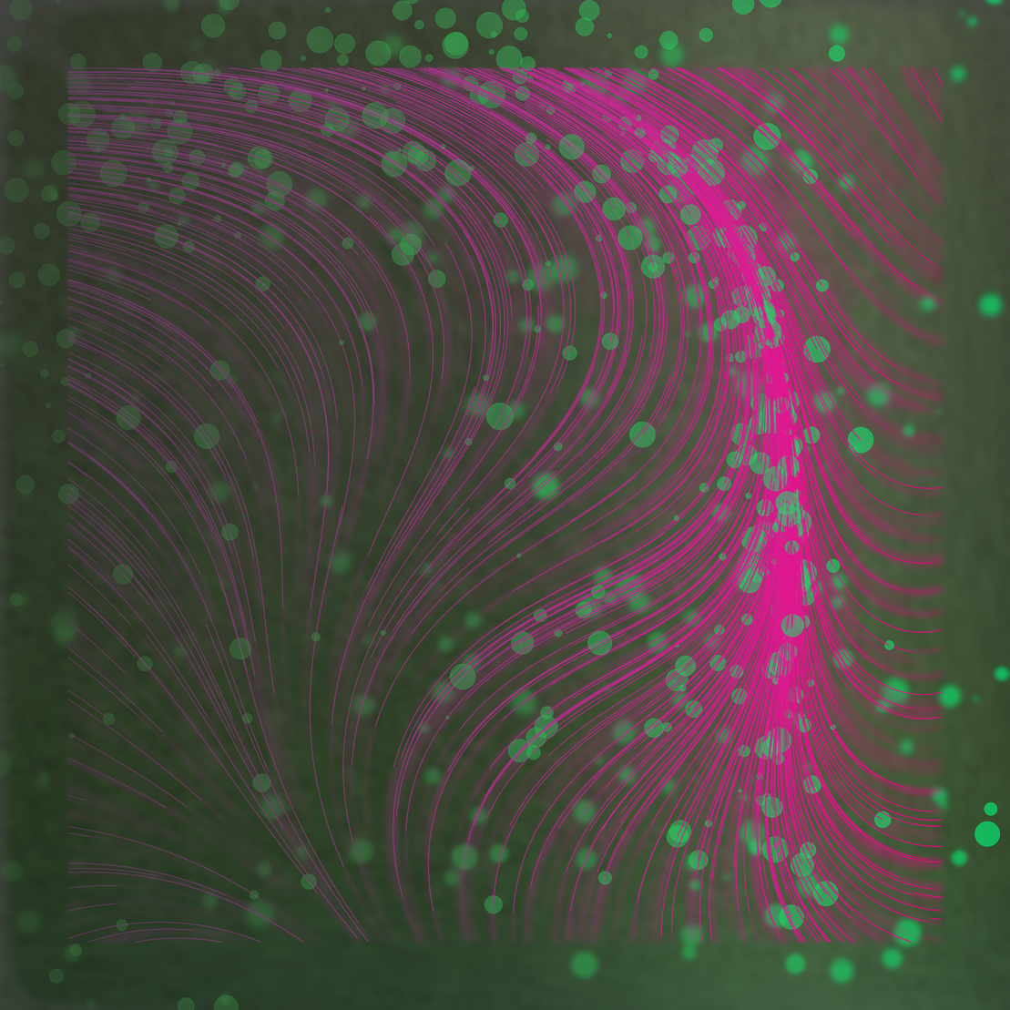 Gentle Force #104