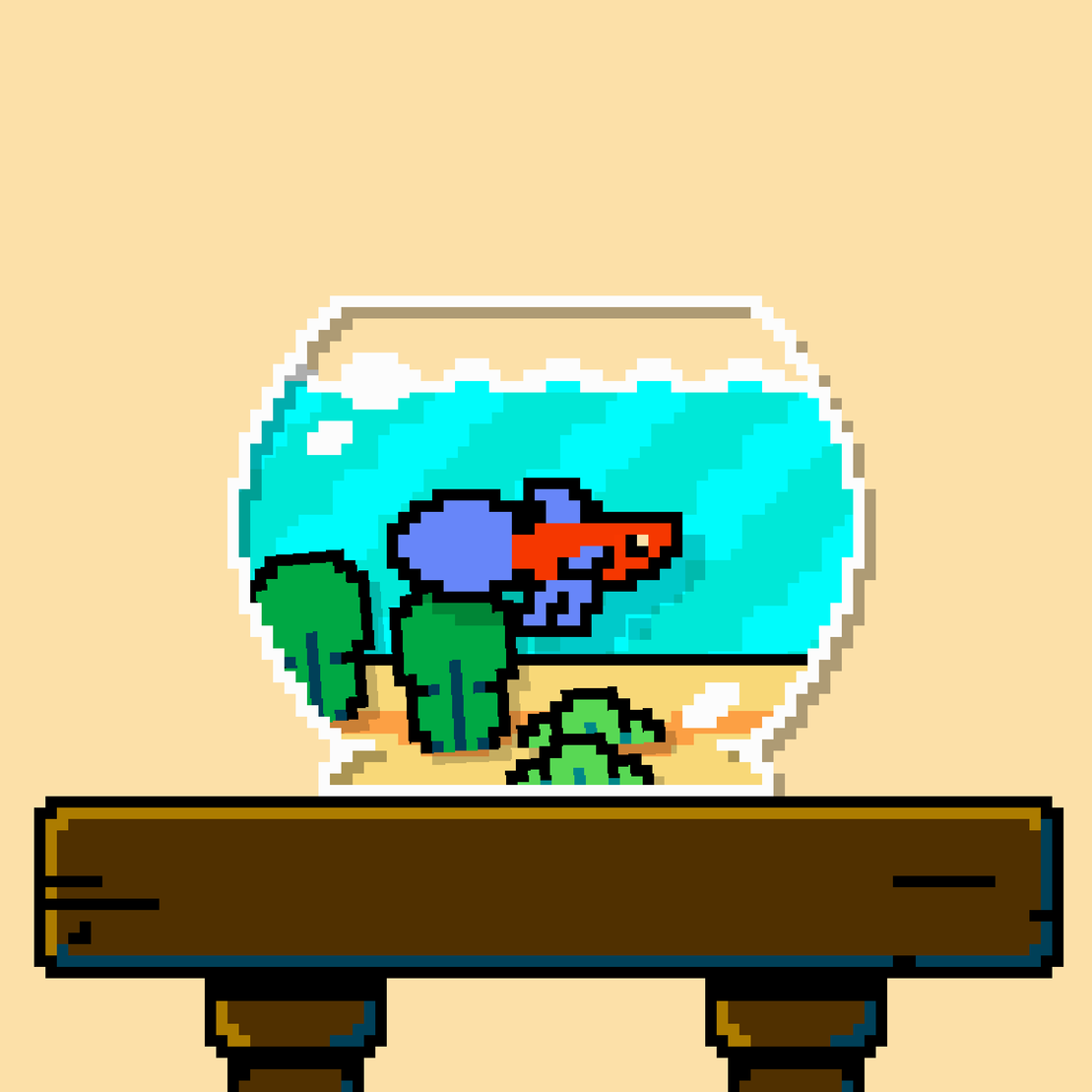 betta fish #26