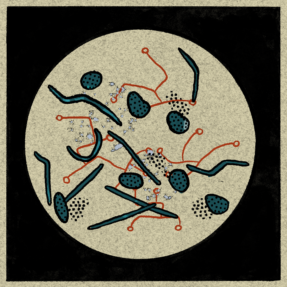 Microbes #182