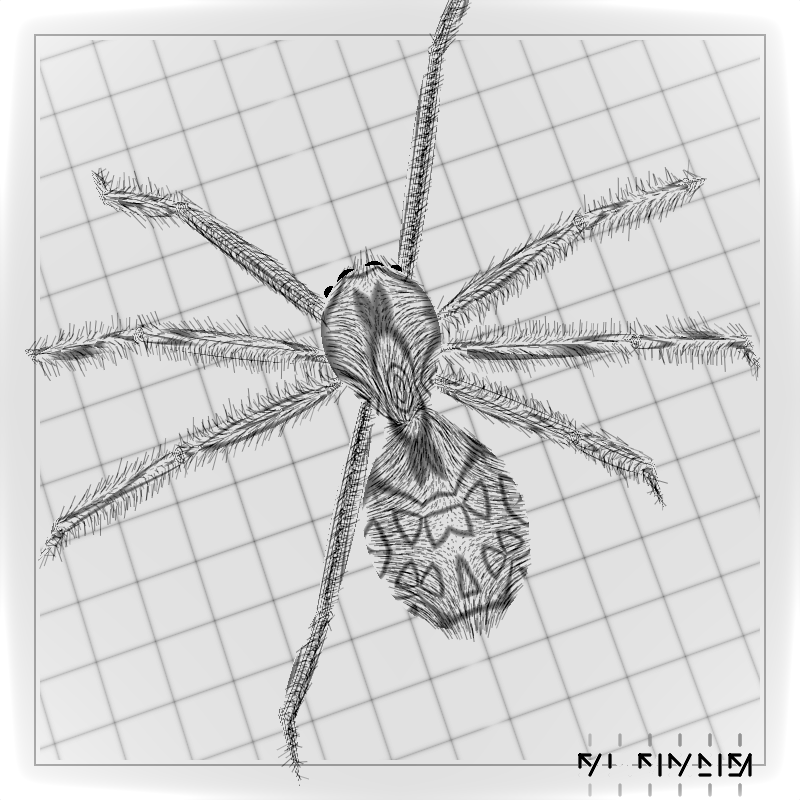 Impure Spiders #27