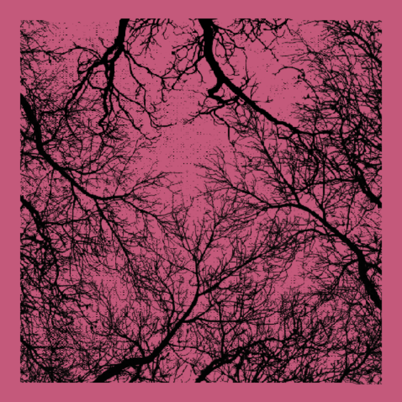 Forest of Shadows #31