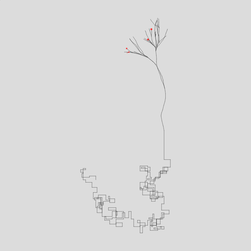 Algorithmic Tree #10