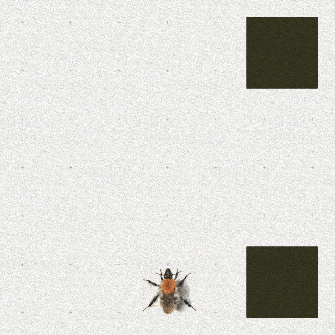 Bee #52