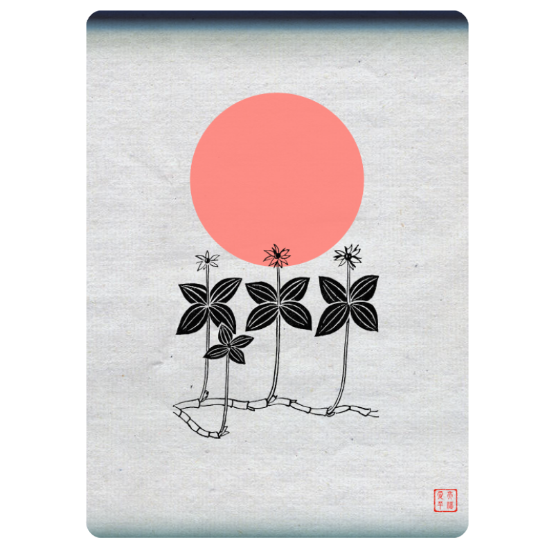 Zen flower card  #14