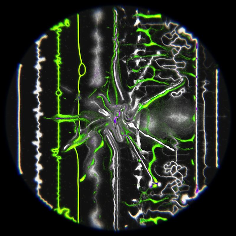 Ethereal Microcosm #123