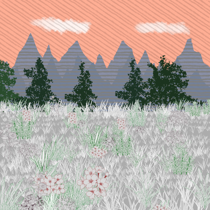 Mountain Meadows #2