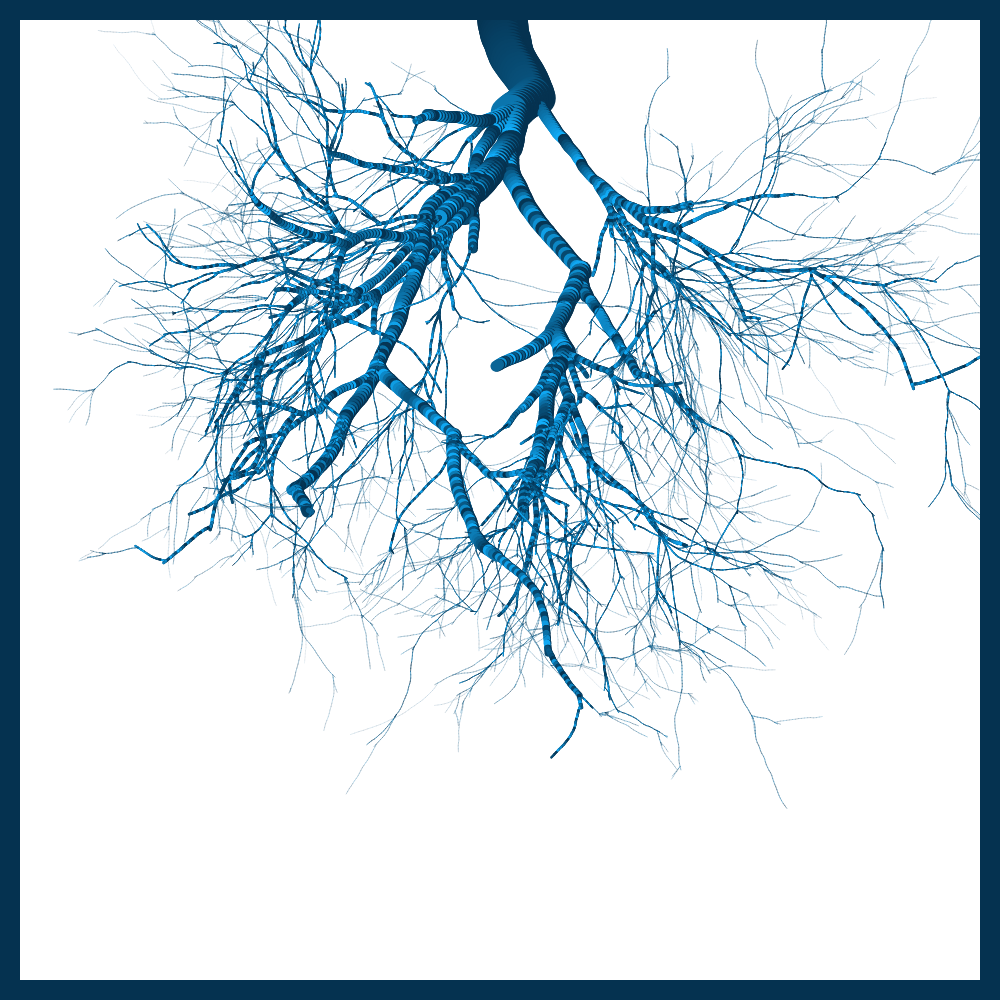 Arbres suspendus #211