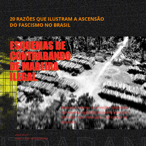 B4D - Brazil4Democracy #13